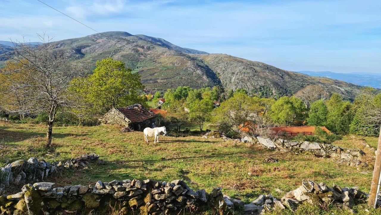 Вілла Cardenha Da Bessada Branda de Santo Antonio Екстер'єр фото